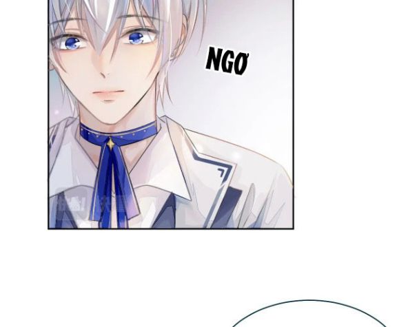 Đơn Xin Ly Hôn Chapter 1 - Trang 4