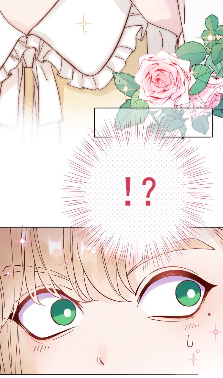 Tôi Phải Làm 1 Kẻ Đại Xấu Xa Chap 9 - Trang 3