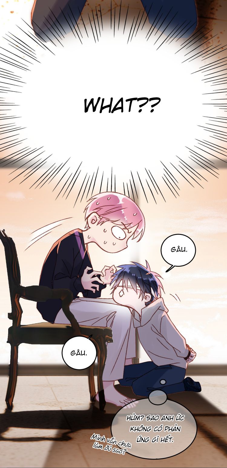 Tôi Phải Làm 1 Kẻ Đại Xấu Xa Chap 11 - Trang 3