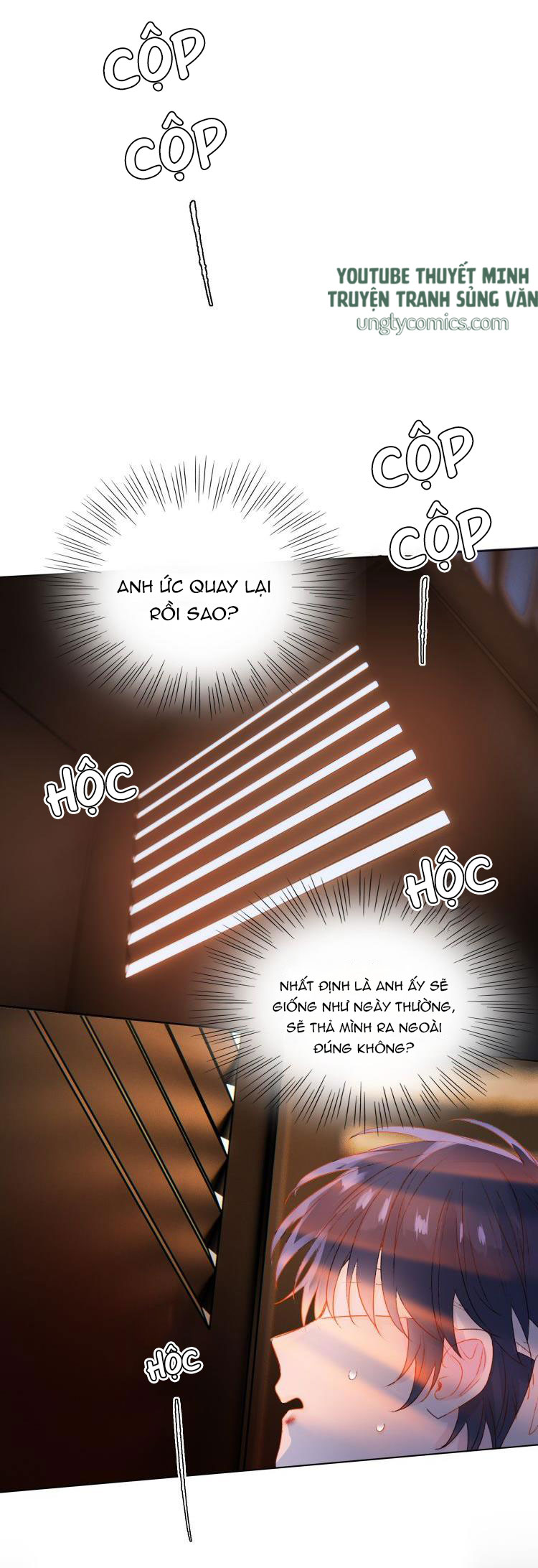 Tôi Phải Làm 1 Kẻ Đại Xấu Xa Chap 13 - Trang 3