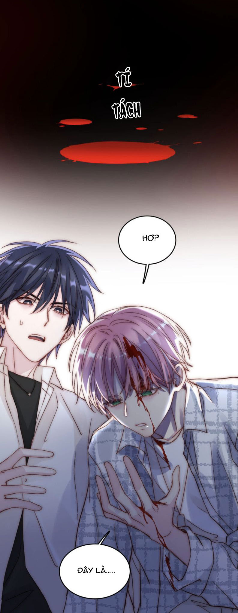 Tôi Phải Làm 1 Kẻ Đại Xấu Xa Chap 27 - Trang 3