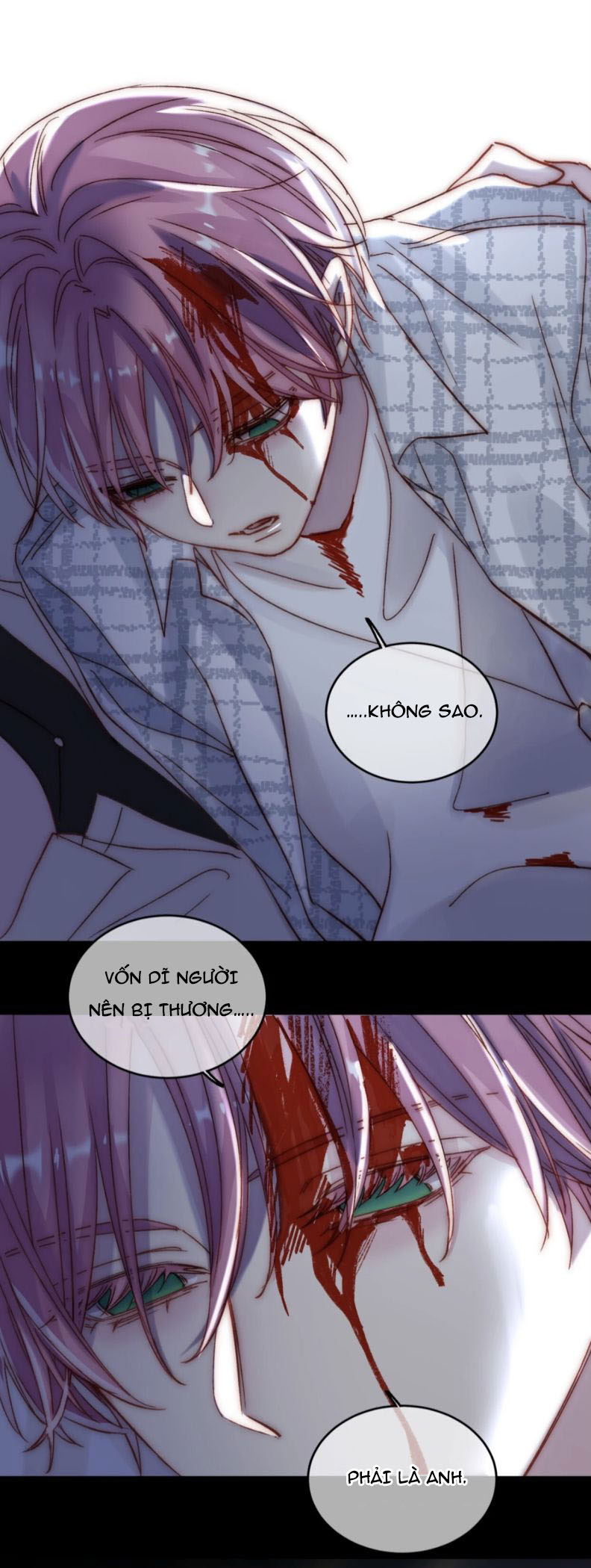 Tôi Phải Làm 1 Kẻ Đại Xấu Xa Chap 27 - Trang 3