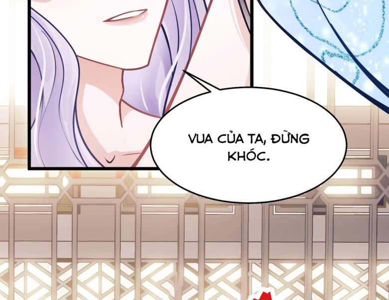 Tôi Hoài Nghi Ảnh Đế Đang Theo Đuổi Tôi Chapter 6 - Trang 4