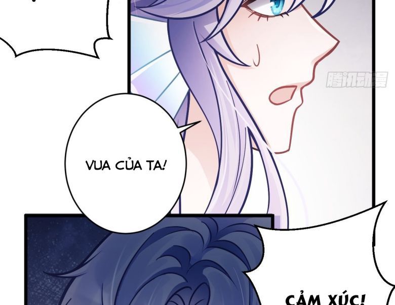 Tôi Hoài Nghi Ảnh Đế Đang Theo Đuổi Tôi Chapter 6 - Trang 4