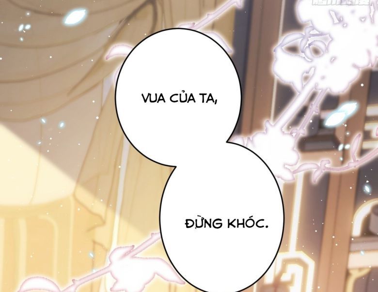 Tôi Hoài Nghi Ảnh Đế Đang Theo Đuổi Tôi Chapter 6 - Trang 4