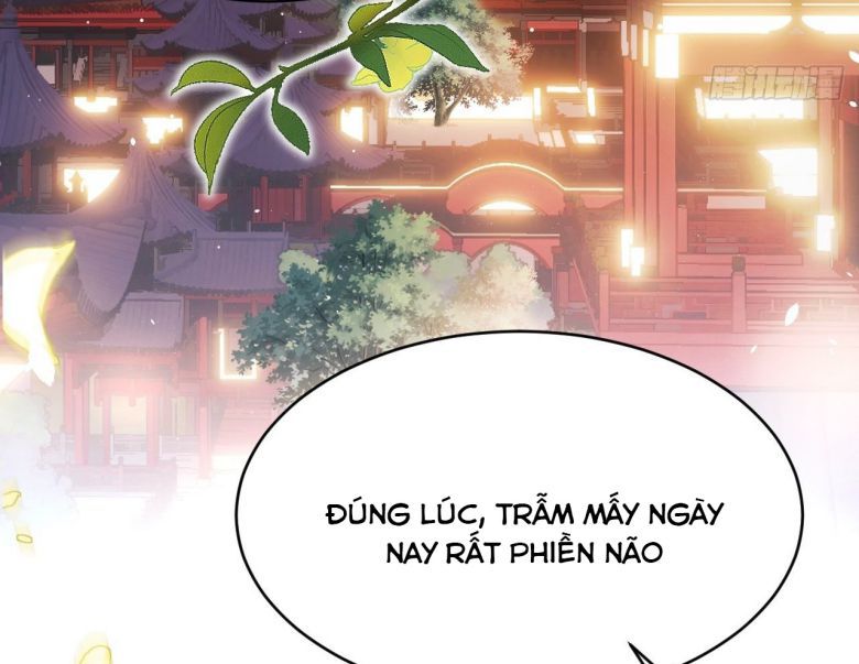 Tôi Hoài Nghi Ảnh Đế Đang Theo Đuổi Tôi Chapter 6 - Trang 4