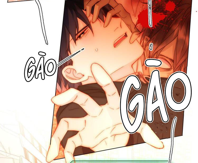 Tôi Phải Làm 1 Kẻ Đại Xấu Xa Chap 49 - Trang 3
