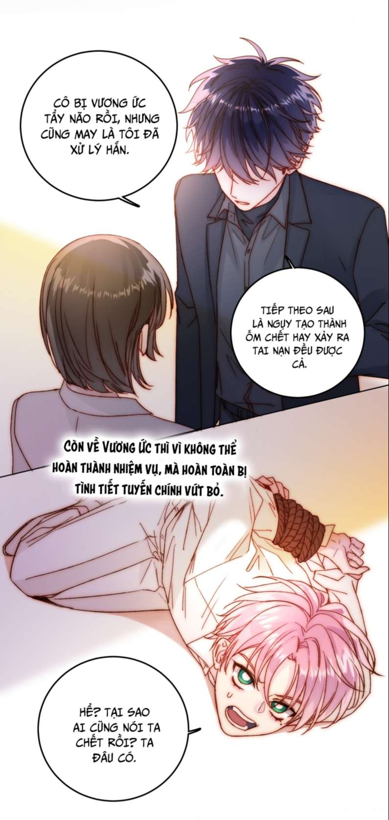 Tôi Phải Làm 1 Kẻ Đại Xấu Xa Chapter 74 - Trang 4