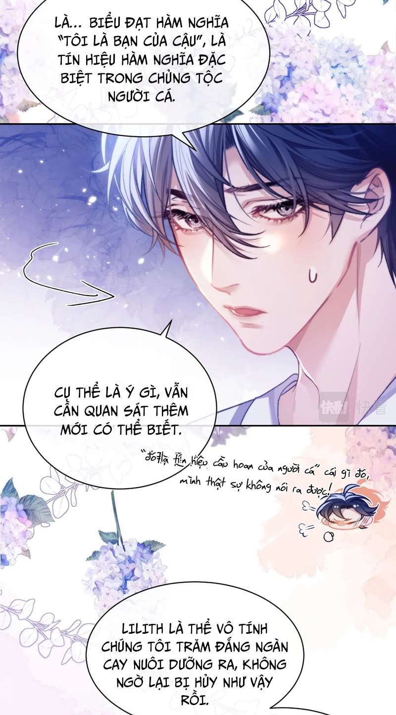 Desharow Nhân Ngư Chap 13 - Trang 2