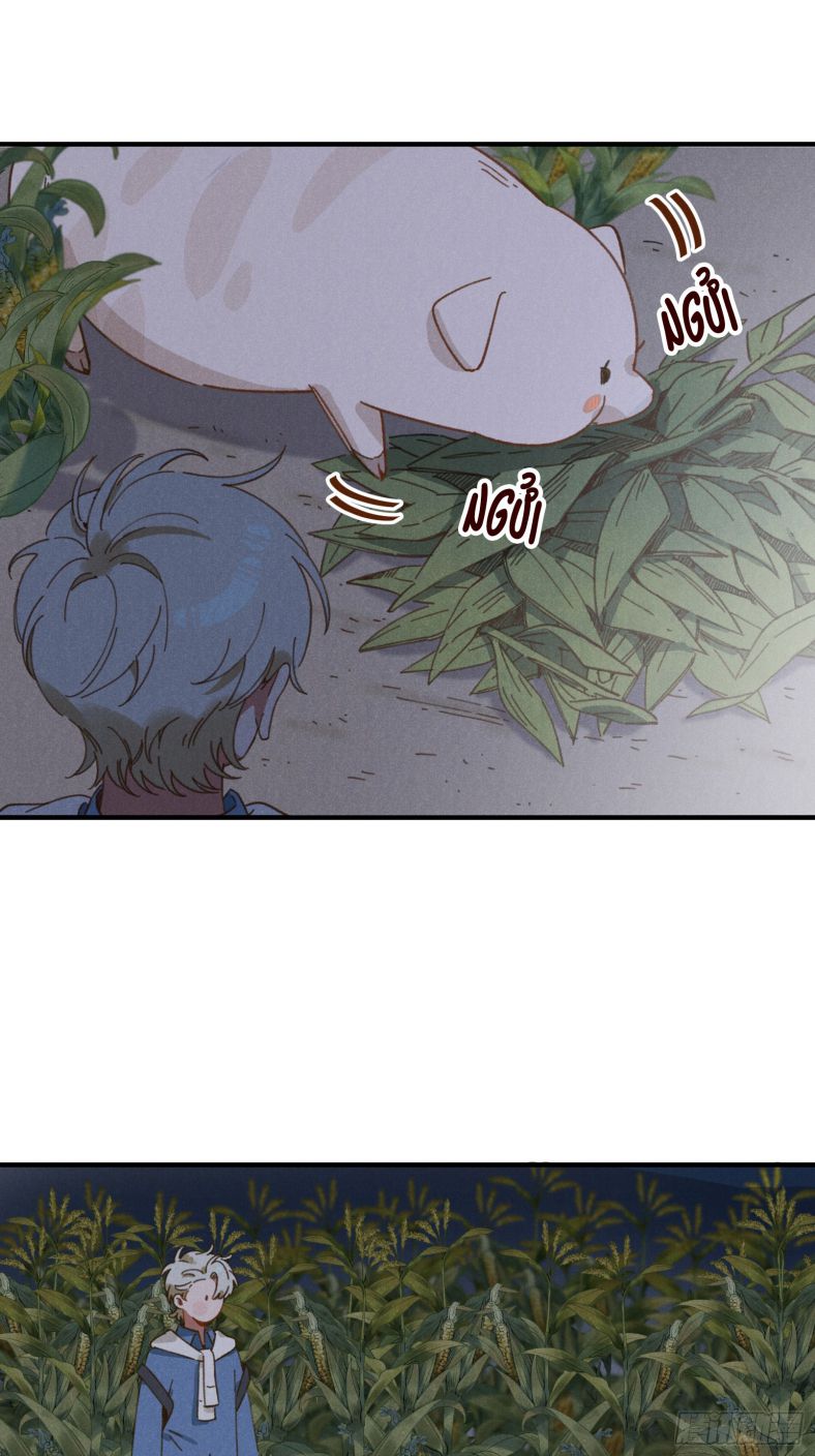 Tôi Không Cùng Anh Đến Vùng Đất Bắp Ngô Đâu! Chapter 4 - Trang 4