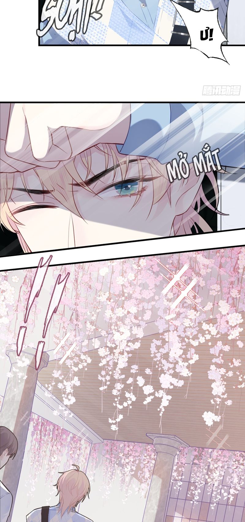 Anh Ấy Chưa Từng Rơi Xuống Chap 31 - Trang 2