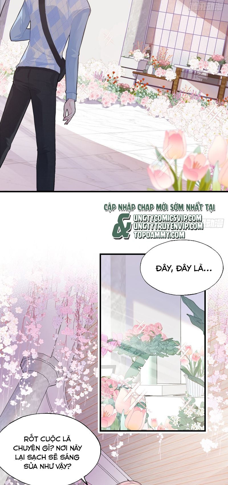 Anh Ấy Chưa Từng Rơi Xuống Chap 31 - Trang 2