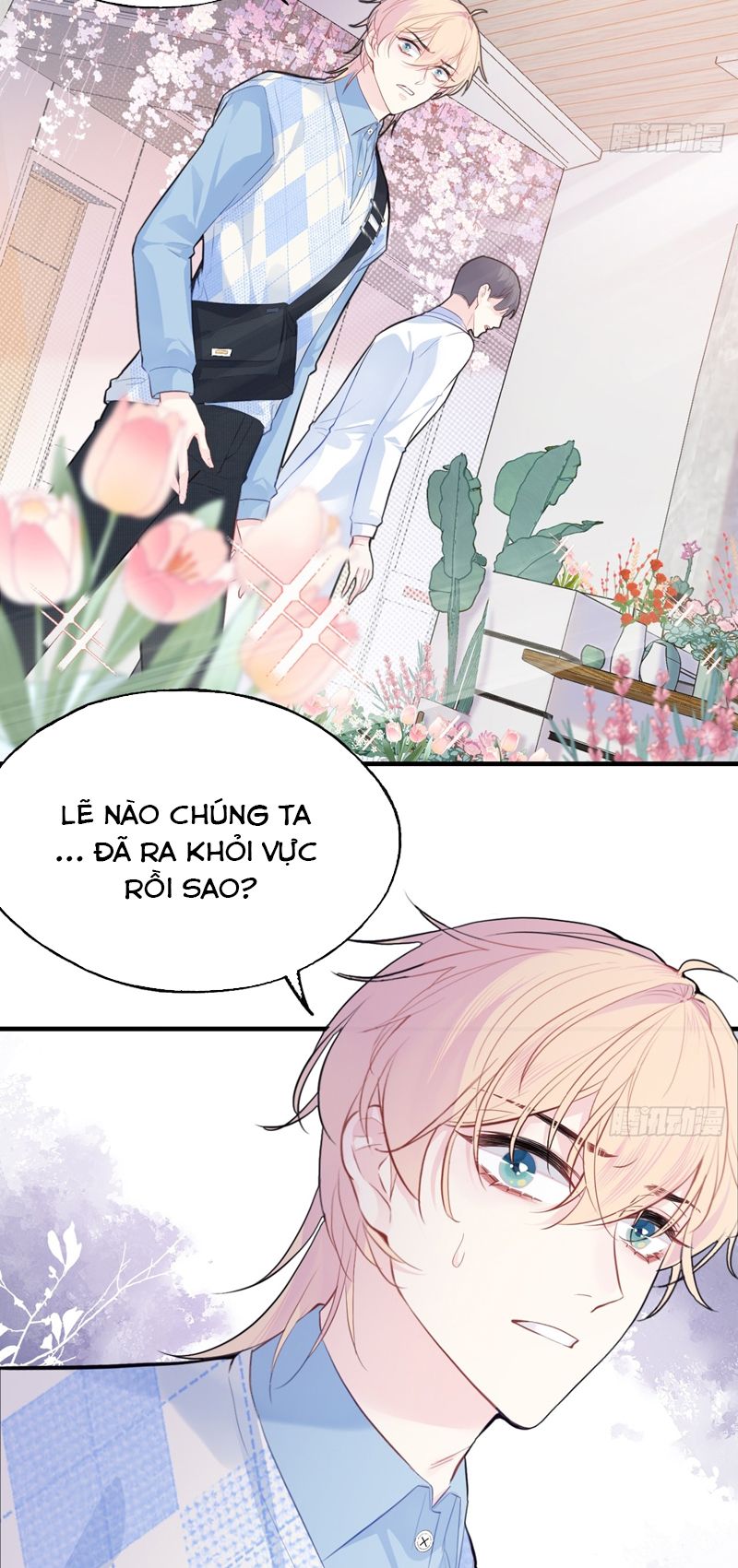Anh Ấy Chưa Từng Rơi Xuống Chap 31 - Trang 2