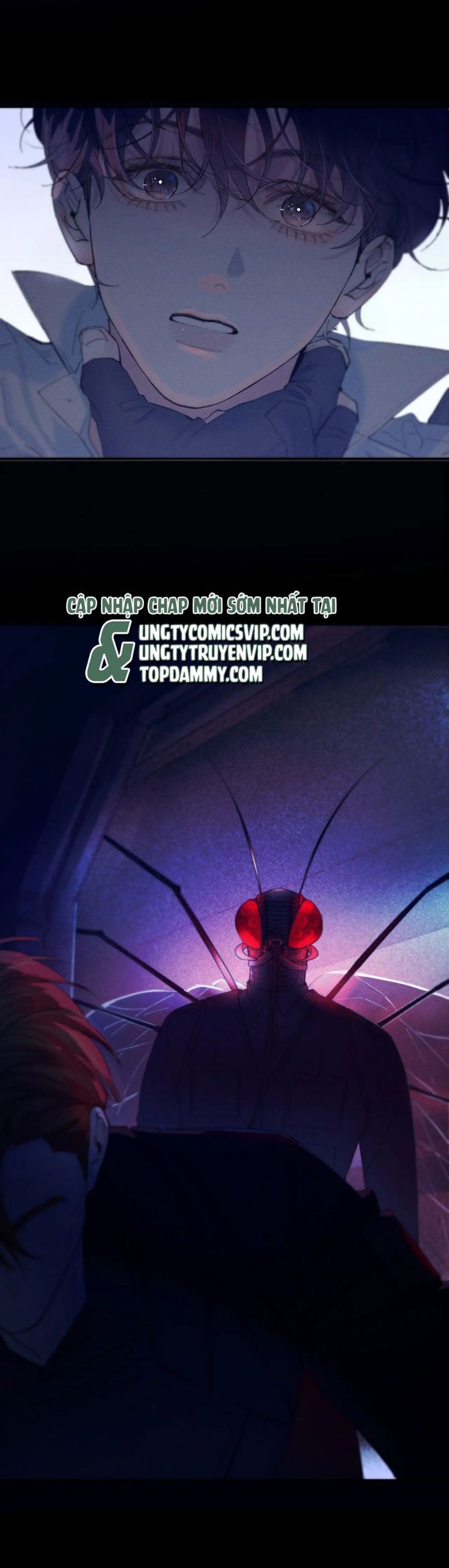Cây Nấm Nhỏ Chap 5 - Trang 4