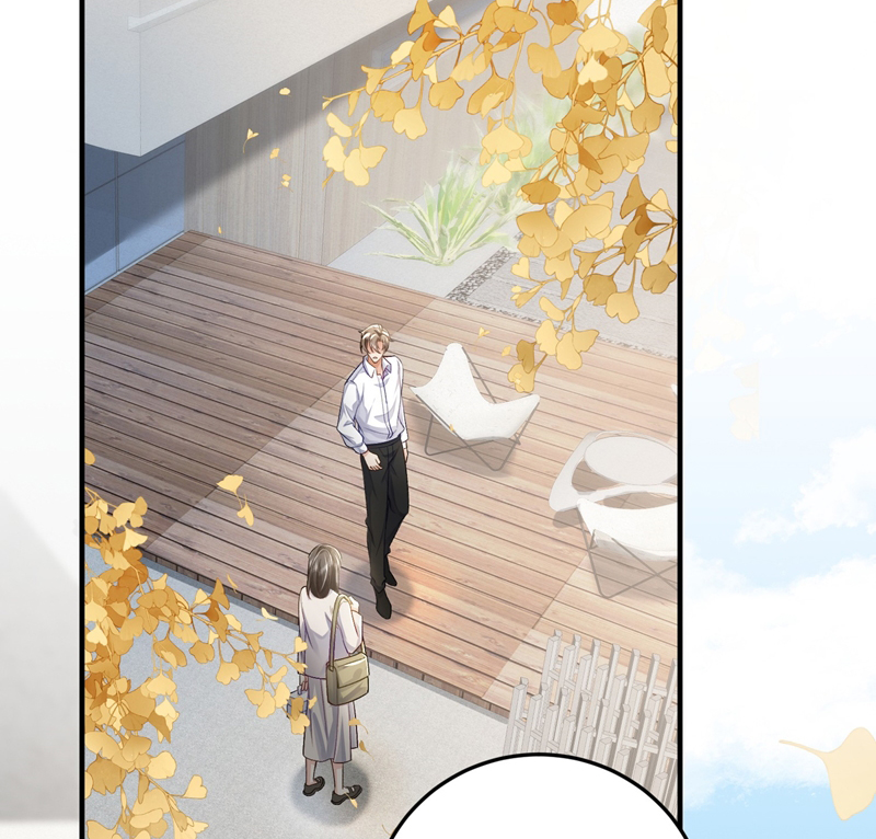 Xuyên Nhanh Chi Cải Tạo Bắt Đầu Lại Làm Người Chapter 74 - Trang 4