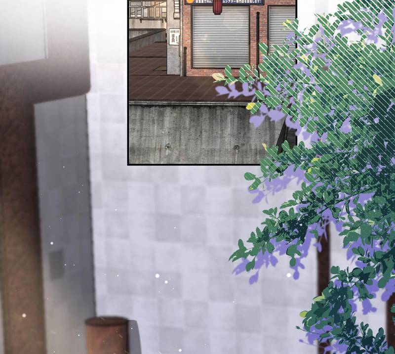Gài Bẫy Ác Khuyển Chapter 14 - Trang 4