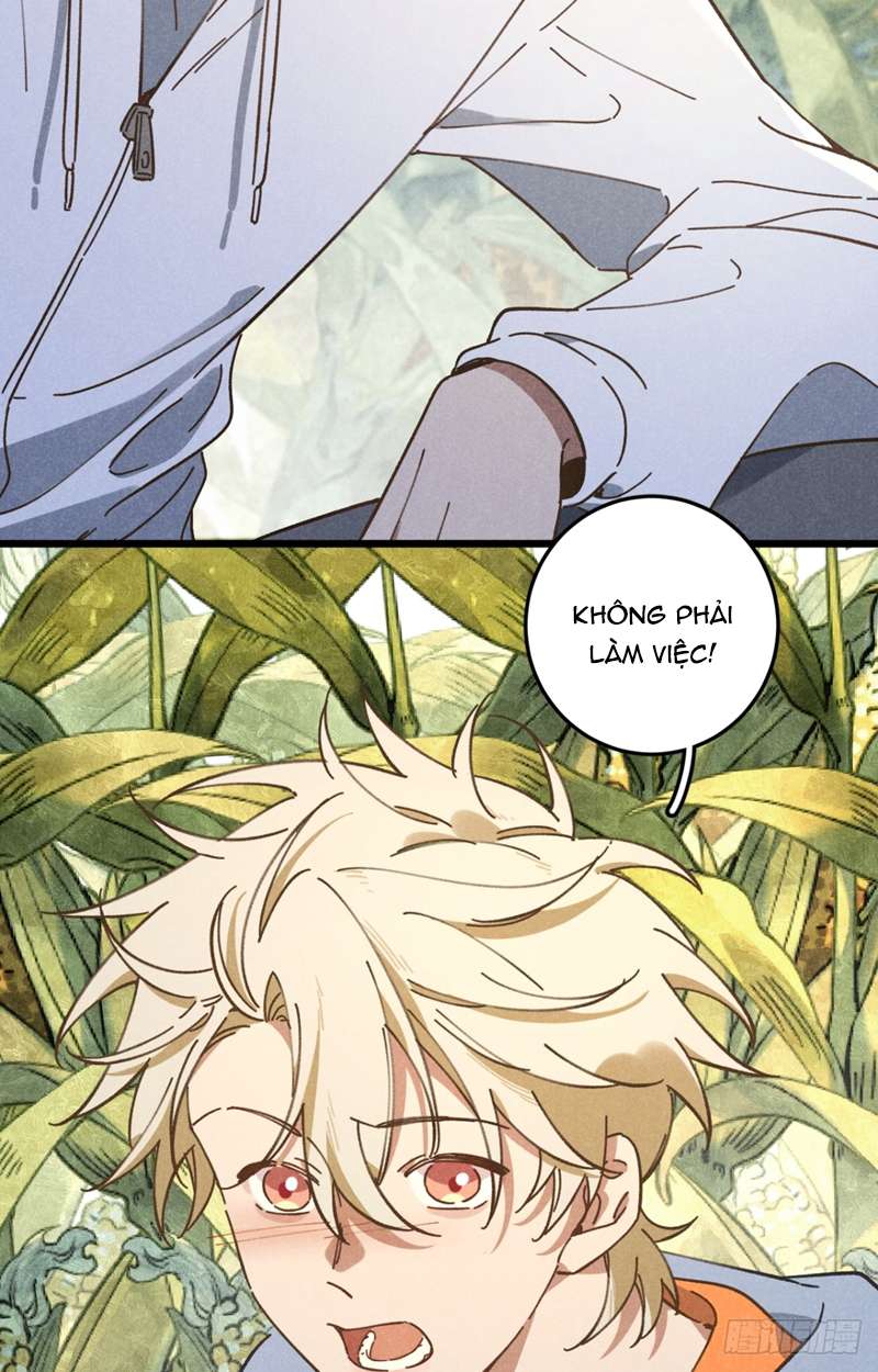 Tôi Không Cùng Anh Đến Vùng Đất Bắp Ngô Đâu! Chapter 19 - Trang 4