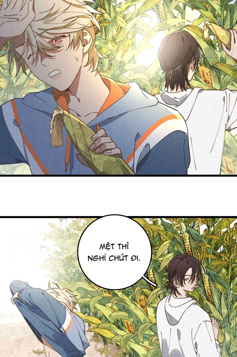 Tôi Không Cùng Anh Đến Vùng Đất Bắp Ngô Đâu! Chapter 19 - Trang 4