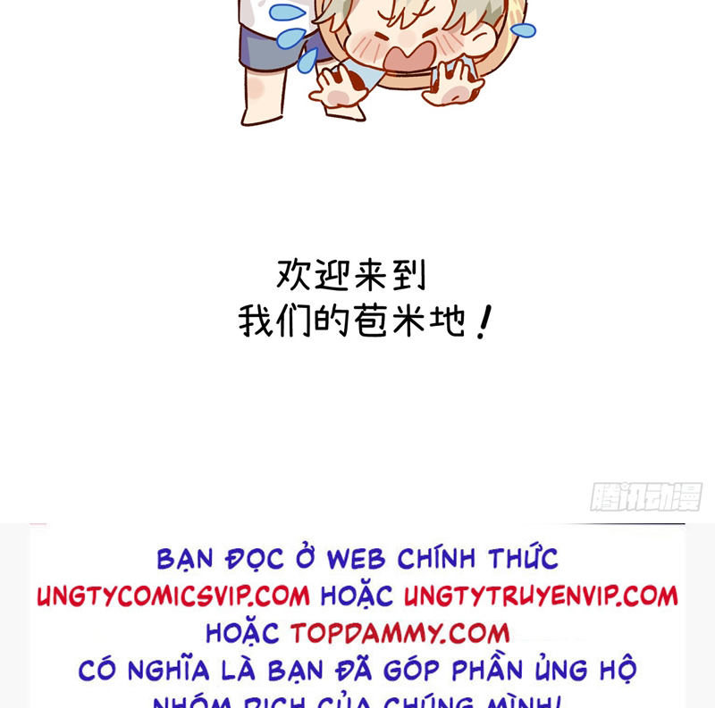 Tôi Không Cùng Anh Đến Vùng Đất Bắp Ngô Đâu! Chapter 20 - Trang 4
