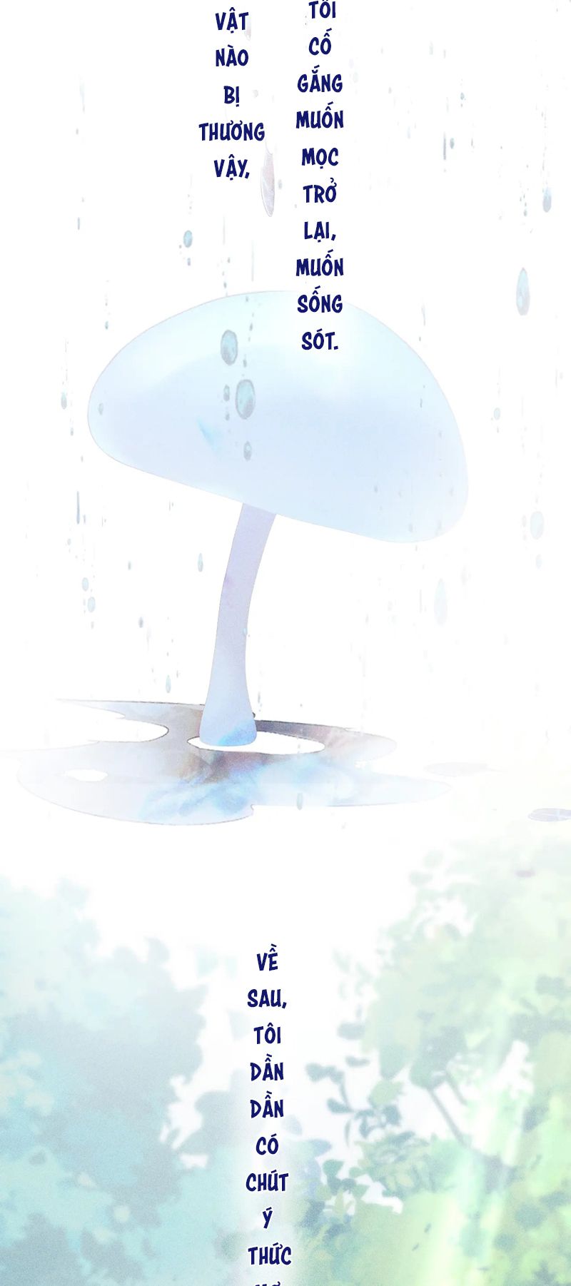 Cây Nấm Nhỏ Chap 11 - Trang 4