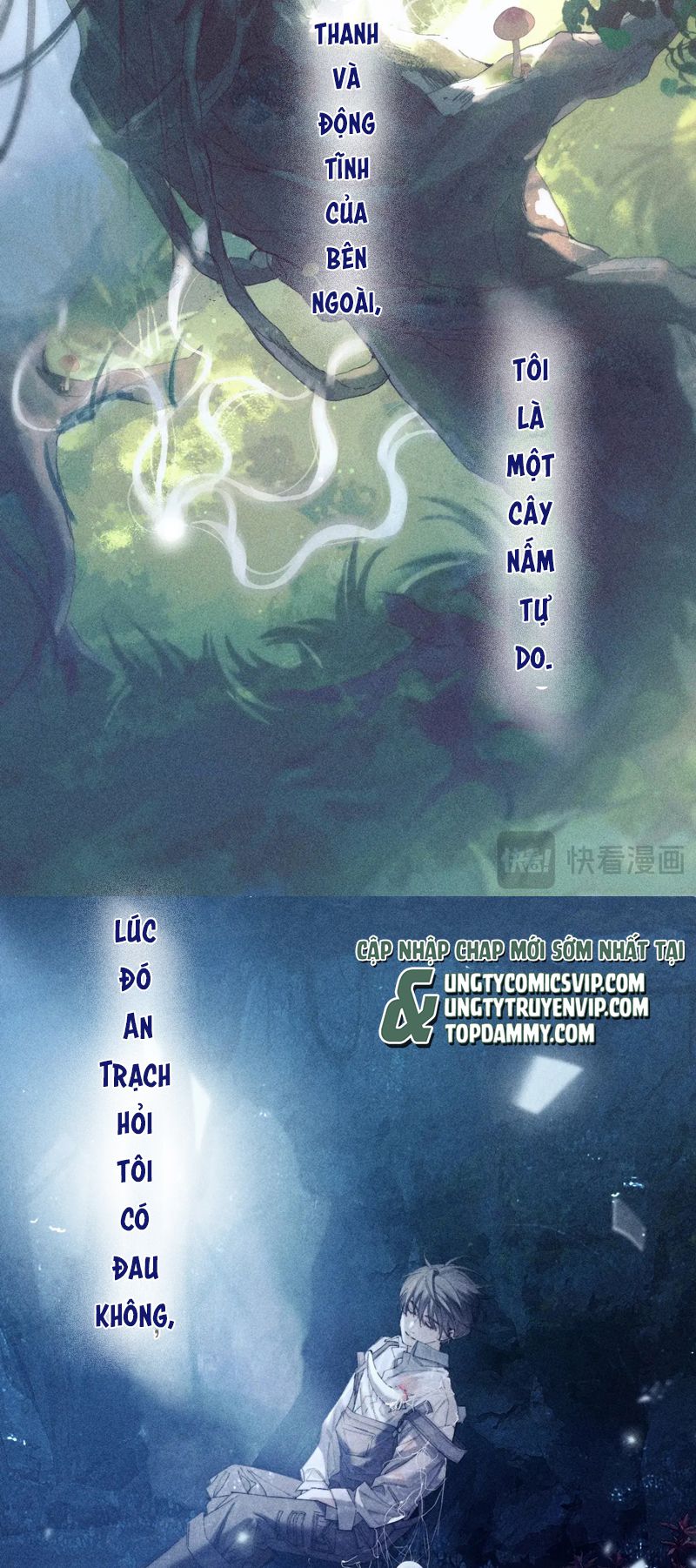 Cây Nấm Nhỏ Chap 11 - Trang 4