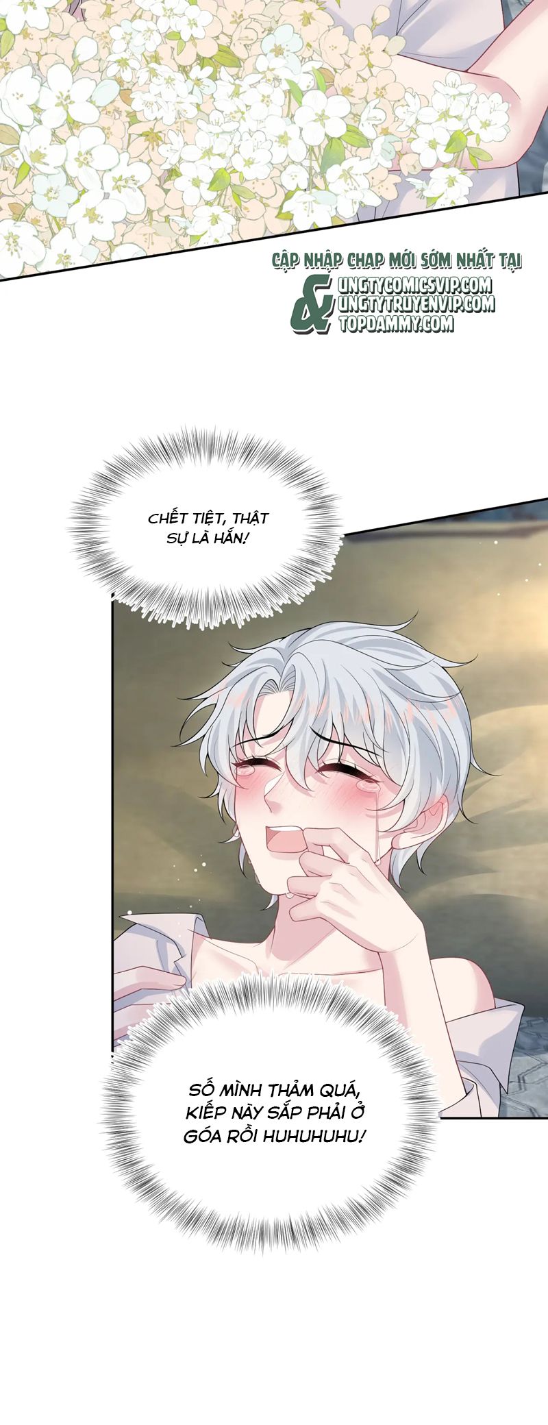 Tuyệt Mỹ Bạch Liên Hoa Online Dạy Học Chap 324 - Next Chap 325