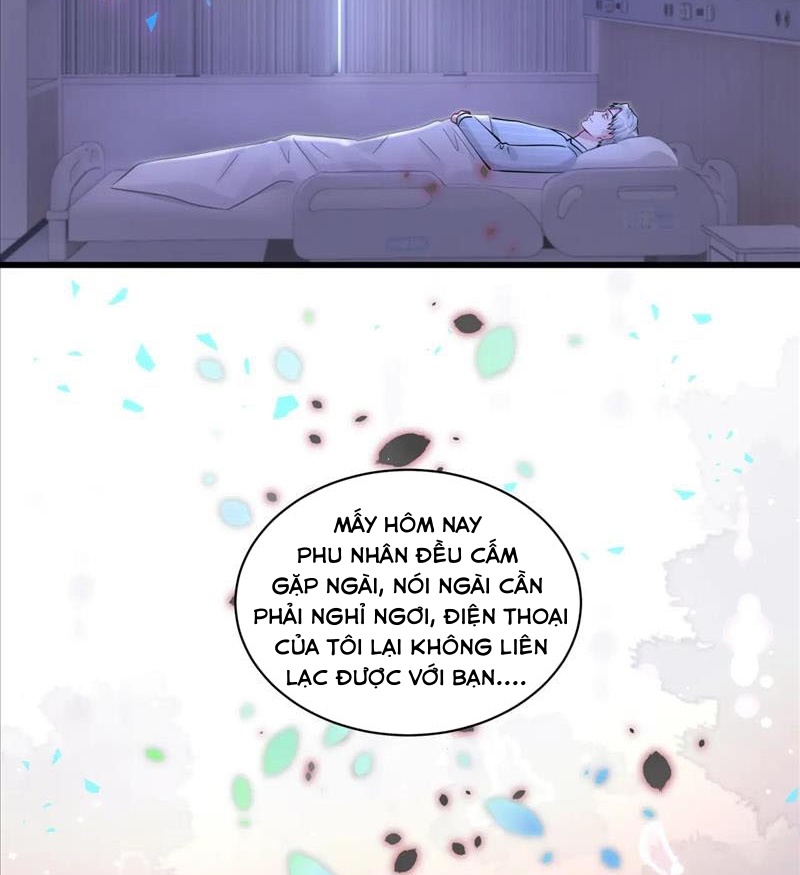 Đại Bảo Bối Từ Đâu Tới Chap 184 - Trang 2