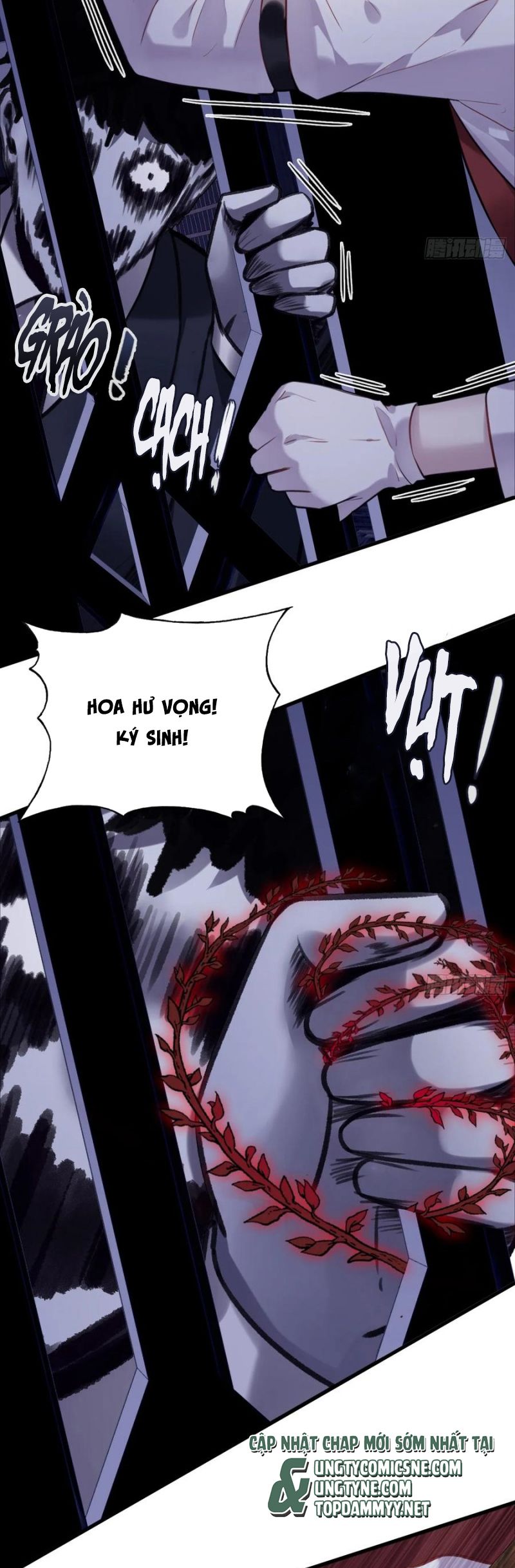 Anh Ấy Chưa Từng Rơi Xuống Chap 117 - Trang 4