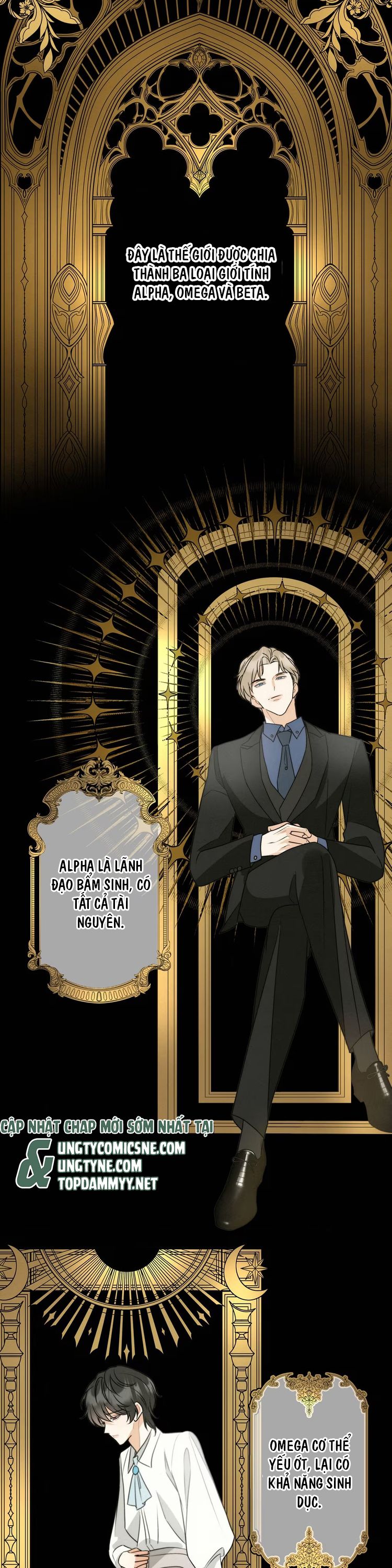 Xuyên Thành Con Ngỗng Vàng Của Đại Lão Alpha Chap 2 - Trang 2