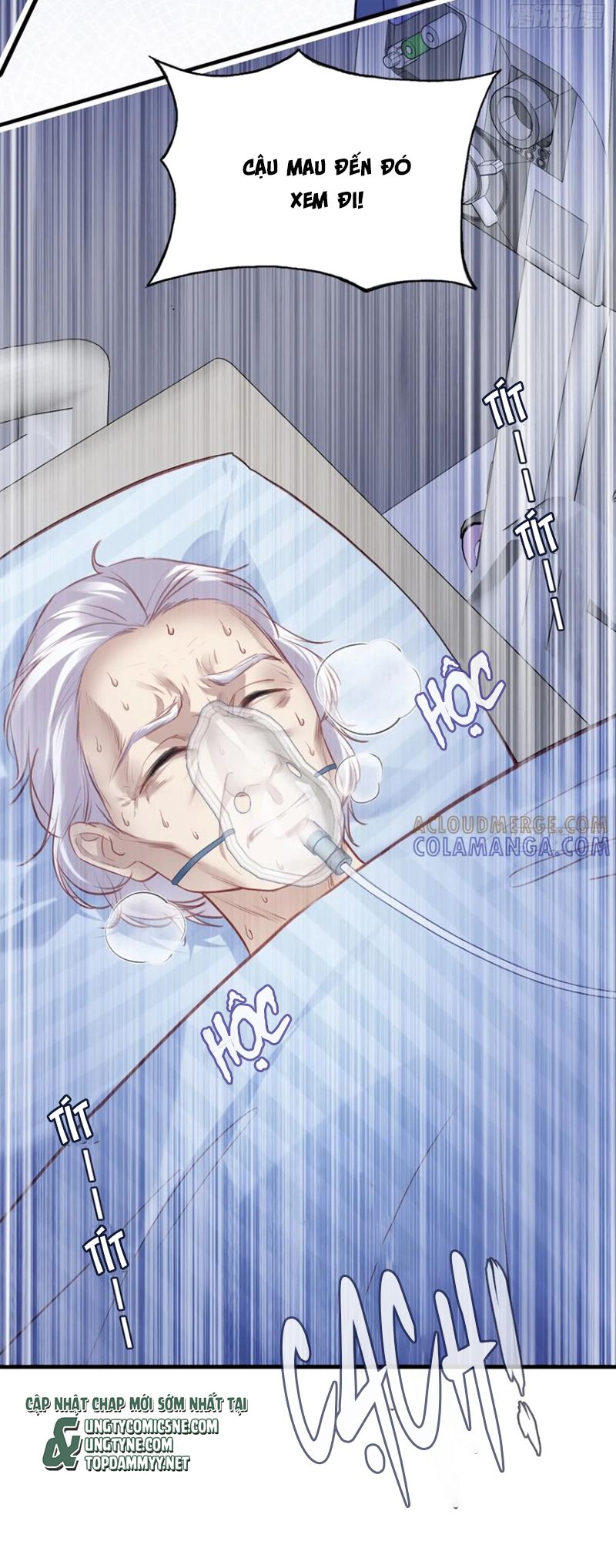 Anh Ấy Chưa Từng Rơi Xuống Chap 131 - Trang 4