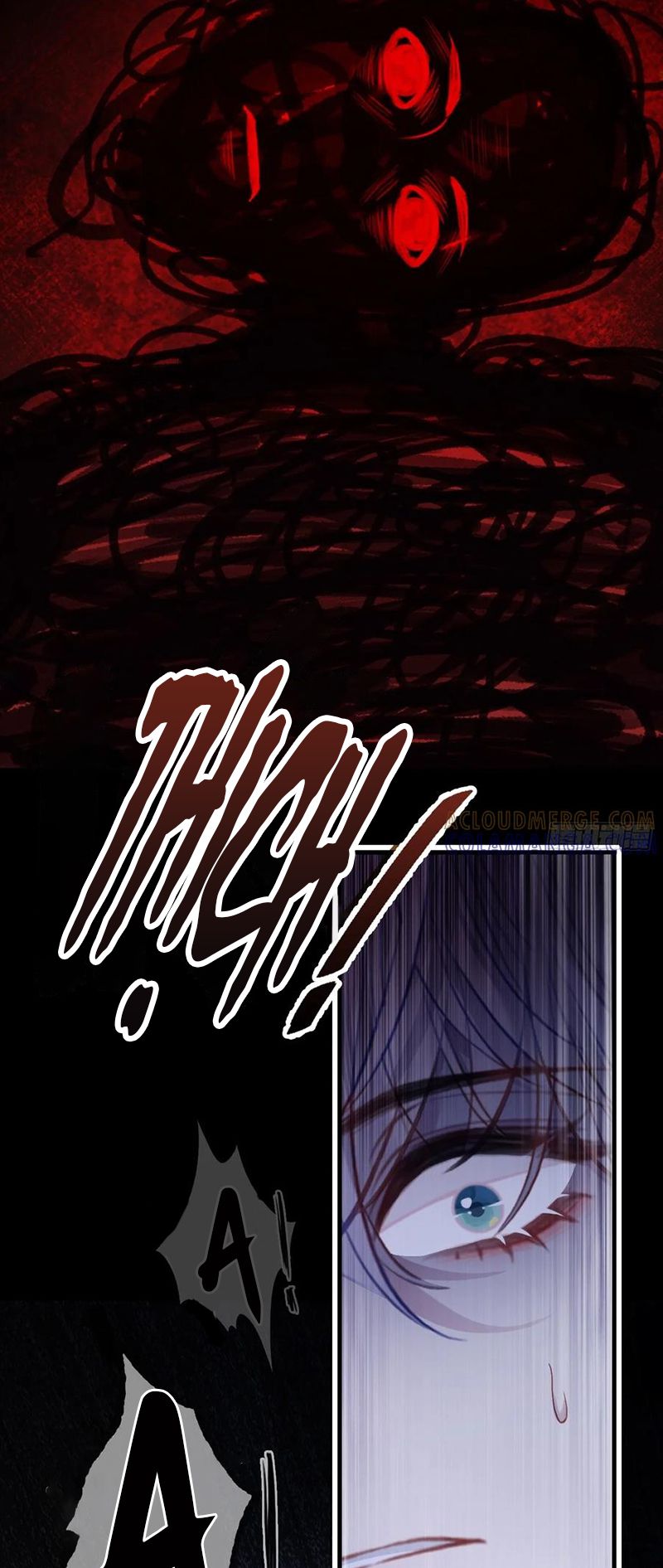 Anh Ấy Chưa Từng Rơi Xuống Chap 134 - Trang 3