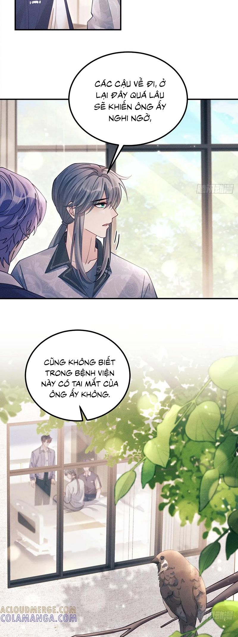 Tôi Hoài Nghi Ảnh Đế Đang Theo Đuổi Tôi Chap 202 - Trang 4