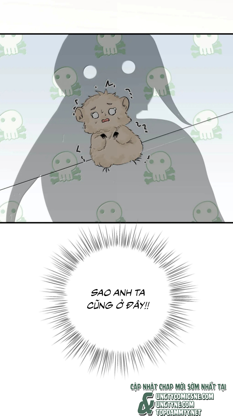Mỗi Ngày Đều Muốn Làm Bệnh Kiều Vương Tử Xấu hổ Muốn Độn Thổ Chap 38 - Next Chap 39