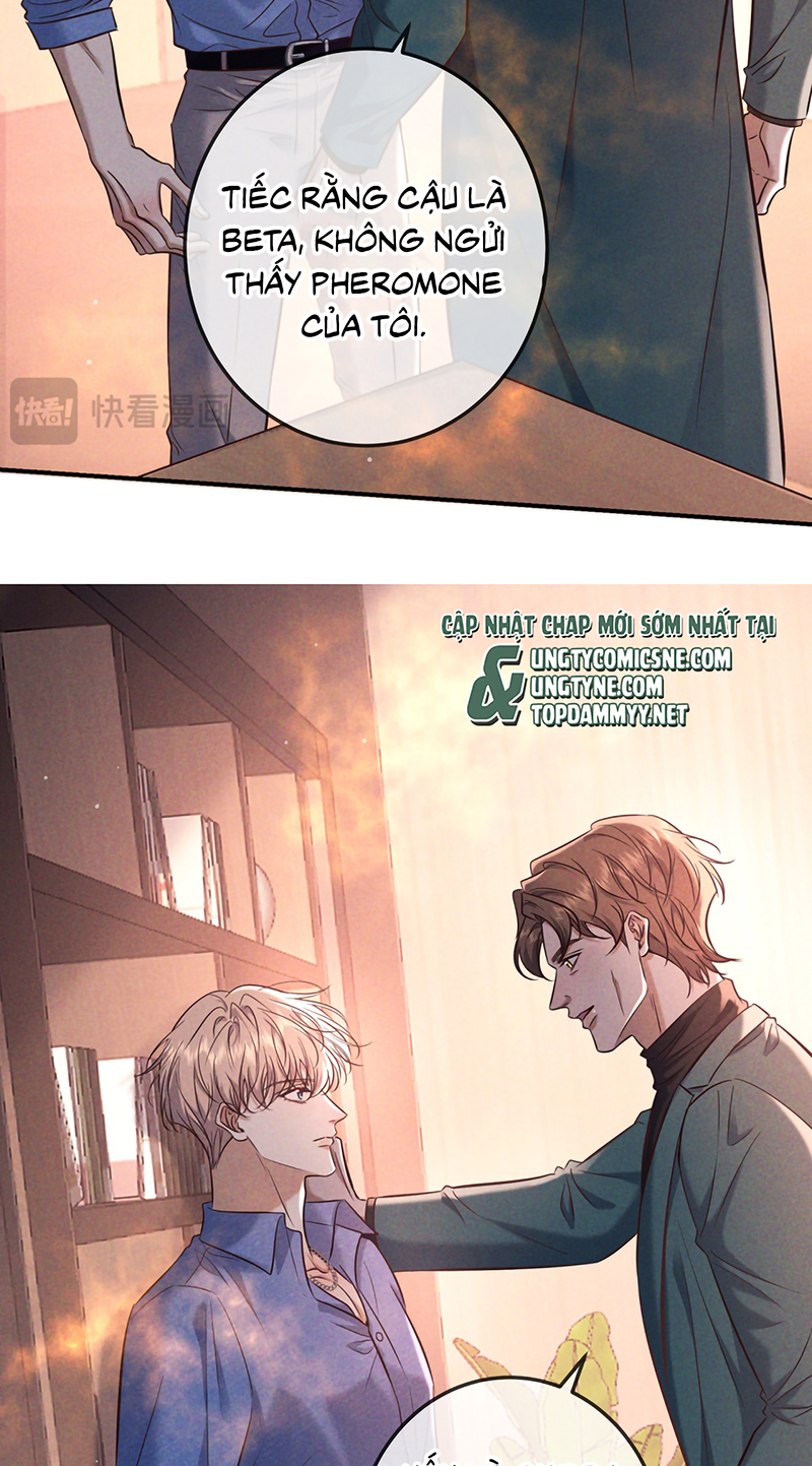 Đêm Tình Yêu Và Sát Ý Chap 83 - Trang 3