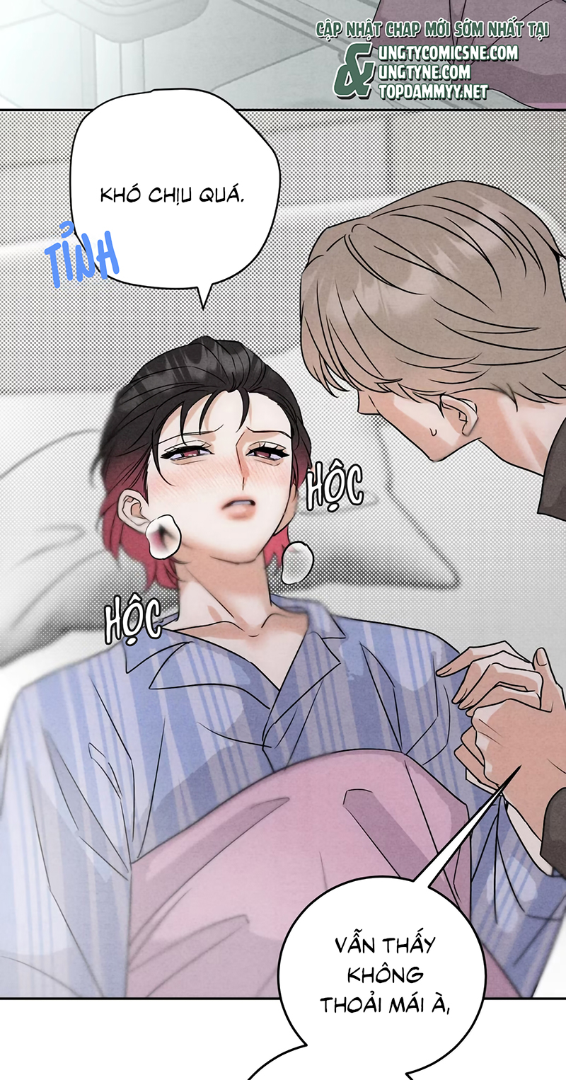 Xuyên Thành Con Ngỗng Vàng Của Đại Lão Alpha Chap 23 - Trang 2