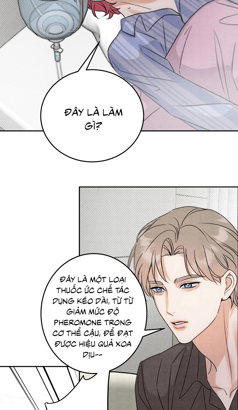 Xuyên Thành Con Ngỗng Vàng Của Đại Lão Alpha Chap 23 - Trang 2