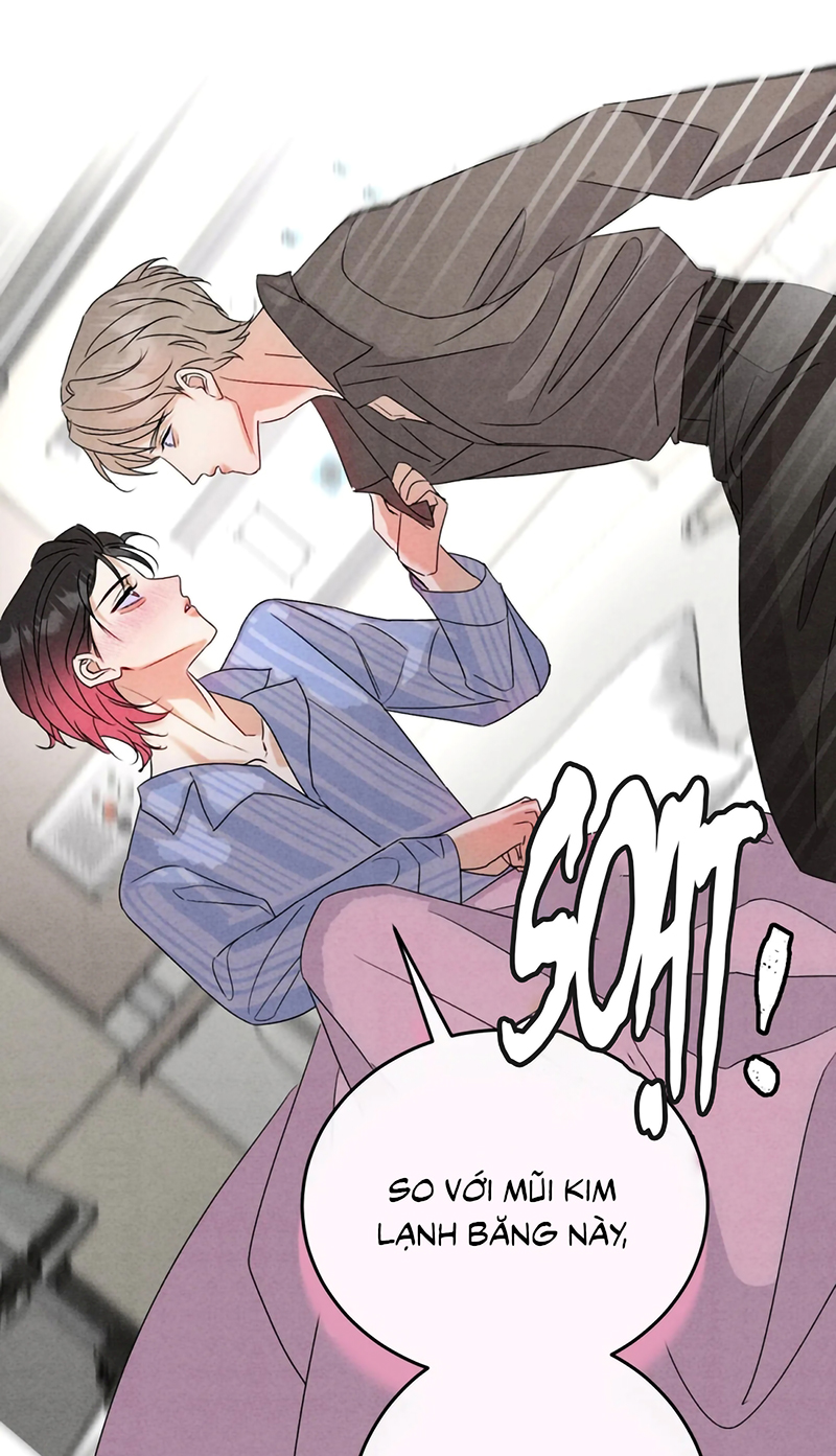 Xuyên Thành Con Ngỗng Vàng Của Đại Lão Alpha Chap 23 - Trang 2
