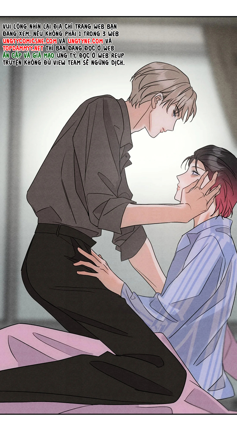 Xuyên Thành Con Ngỗng Vàng Của Đại Lão Alpha Chap 23 - Trang 2