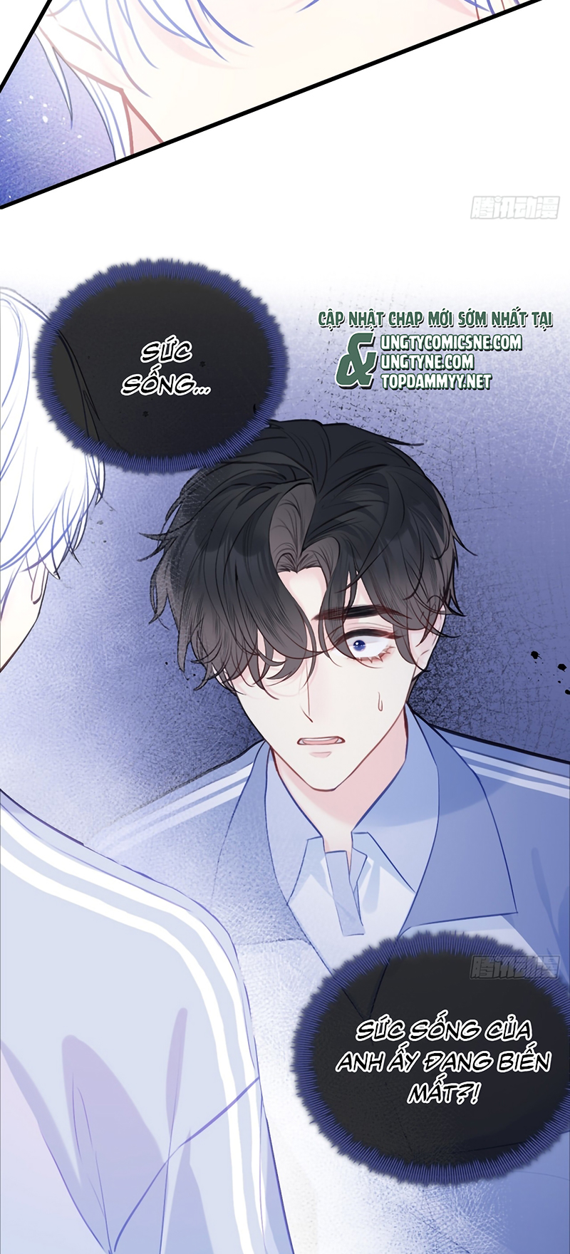 Anh Ấy Chưa Từng Rơi Xuống Chap 143 - Trang 3