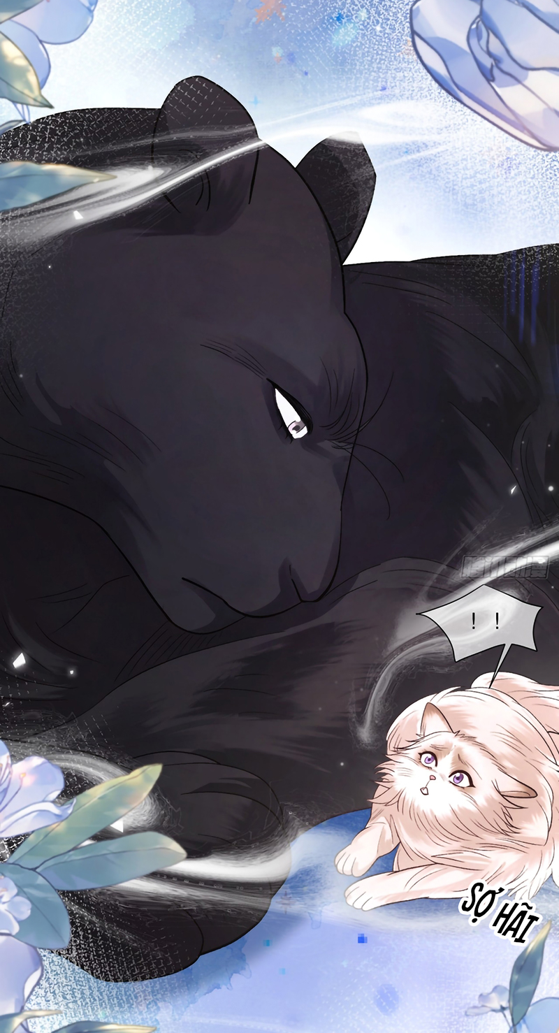 Chim Trong Lồng Chap 7 - Trang 2